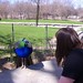 Erin Peacock Photo 4
