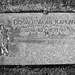 Alan Kaplan Photo 47