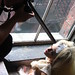 Elizabeth Raab Photo 19