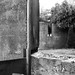 Pamela Walls Photo 13