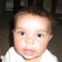 Robert Mahoney Photo 16
