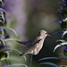 Tracey Call Photo 15