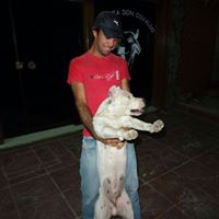 Peter Vega Photo 30