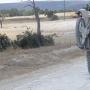 James Macintyre Photo 22