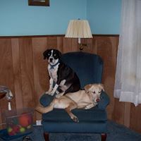 Nancy Finnegan Photo 16
