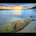 William Green Photo 35