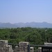 Ling Ding Photo 14