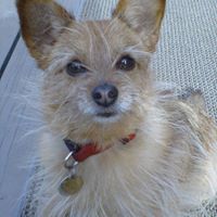 Cheryl Stringer Photo 21
