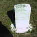 John Shipman Photo 24