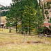 Curtis Thompson Photo 13