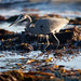 Mark Nordin Photo 21