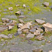 Debra Pond Photo 14