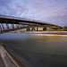 Dan Rowell Photo 10