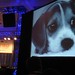 Kathy Fitzgerald Photo 11