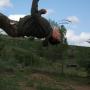 David Mcewen Photo 46