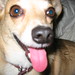 Hank Priest Photo 2