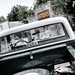 M Wolfe Photo 16