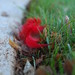Stephanie Helms Photo 35
