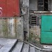 Shing Wong Photo 27