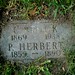 Herbert Solomon Photo 12