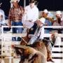 Luke Dotson Photo 11