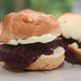 Edna Gibbs Photo 6