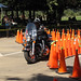 Tracy Cone Photo 25