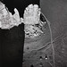 Marilyn Hogan Photo 17