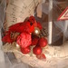 Monica Anderson Photo 26