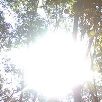 Jim Elliot Photo 33