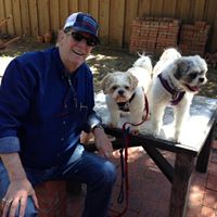 Susan Towle Photo 29