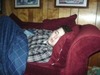 James Dye Photo 26