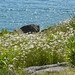 Bruce Mckay Photo 44