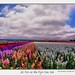 Lawrence Goldman Photo 14