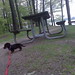 Rhonda Camp Photo 20