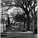 Charles Commons Photo 2