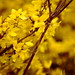 Bud Garrison Photo 16