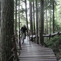 Chad Lange Photo 26