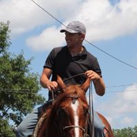 Stephen Hutchins Photo 27