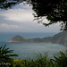 Shi Wu Photo 14