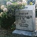 Anne Fitzgerald Photo 11