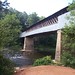 Joy Bridges Photo 22