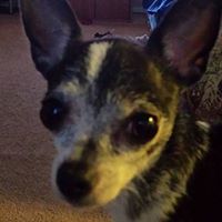 Vickie Gonzalez Photo 9