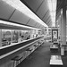 Gordon Gillespie Photo 13