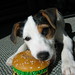 Jack Riley Photo 33