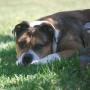 Brandy Schmidt Photo 20