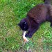 Rufus Johnson Photo 23