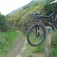 Graham Allan Photo 26
