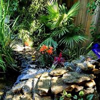 Vicki Meyers Photo 20
