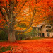 Donna Rockwell Photo 7